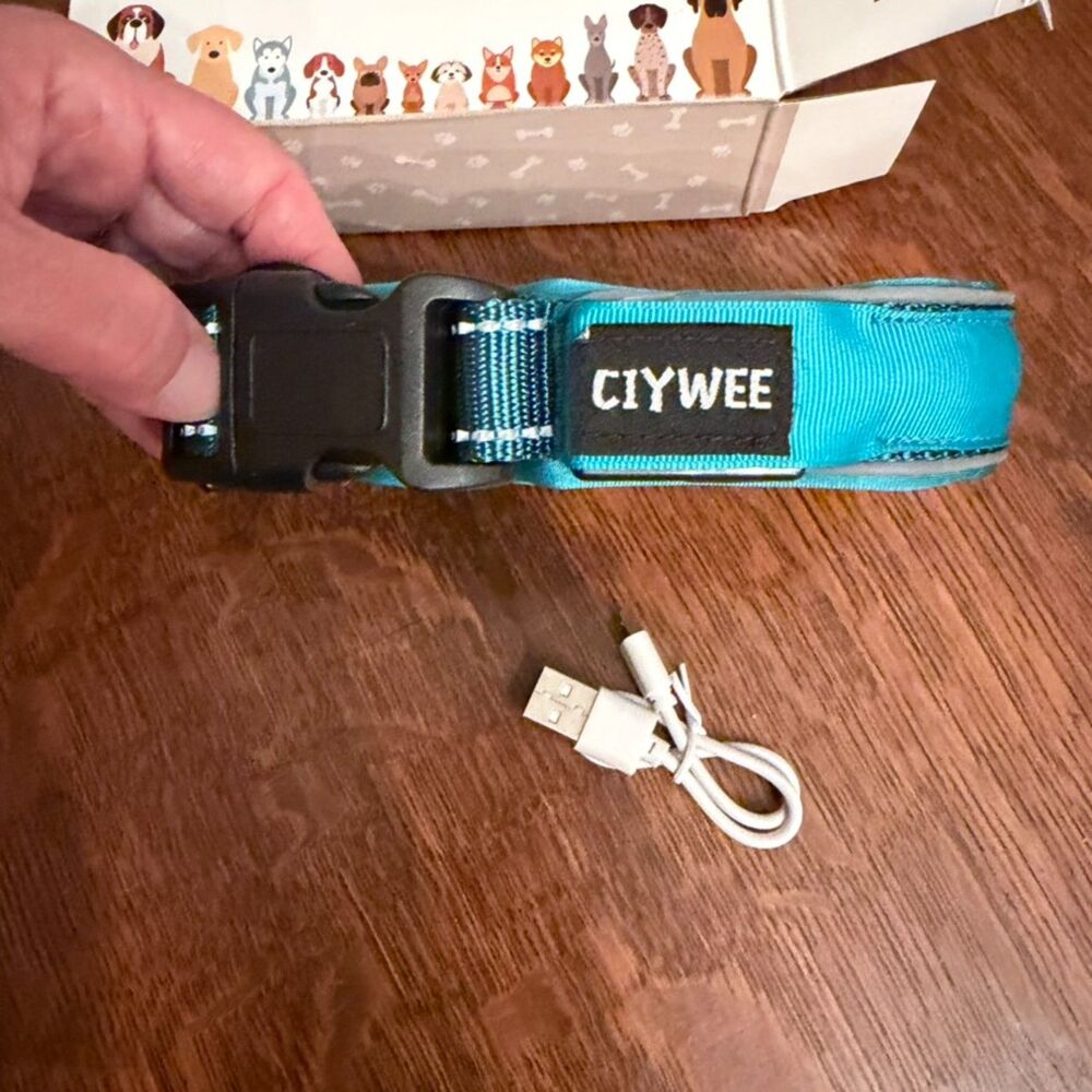 CIYWEE LED Light Up AirTag Dog Collar Teal Medium NIB USB Rechargeable